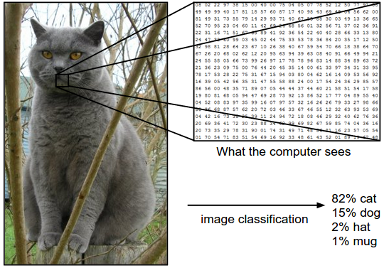 image classification by a computer