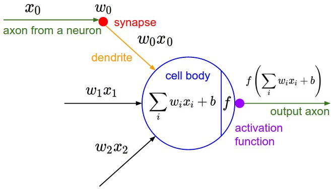 神经元数学模型