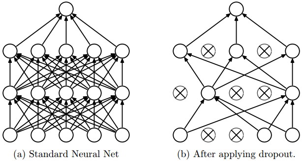 Standard neural Net