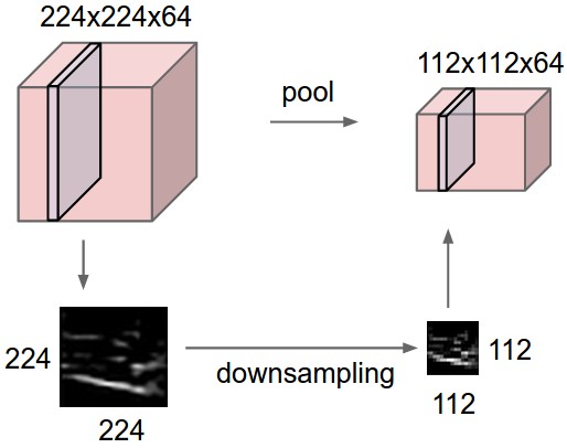 conv neural network - Convolutional Layers: To pad or not to pad